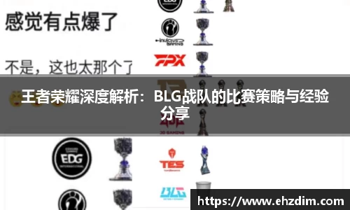 王者荣耀深度解析：BLG战队的比赛策略与经验分享